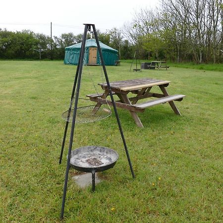 Alder Yurt Wych Elm Glamping 호텔 헬스턴 외부 사진