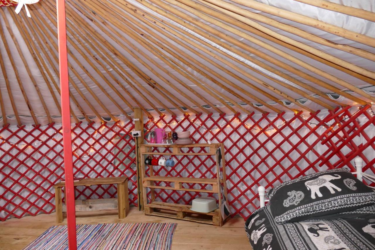 Alder Yurt Wych Elm Glamping 호텔 헬스턴 외부 사진