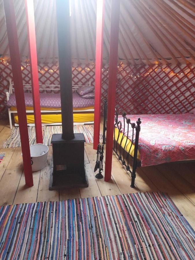Alder Yurt Wych Elm Glamping 호텔 헬스턴 외부 사진