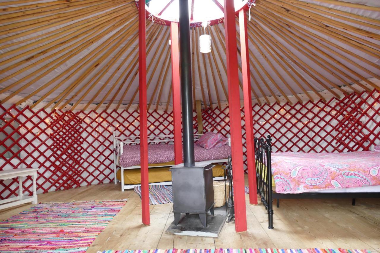 Alder Yurt Wych Elm Glamping 호텔 헬스턴 외부 사진